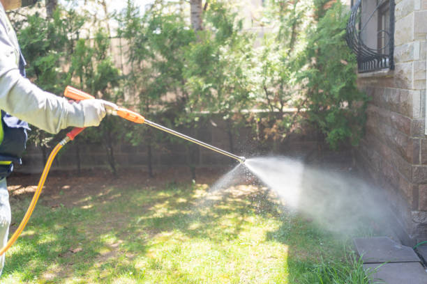 Best Commercial Pest Control  in Hurlock, MD